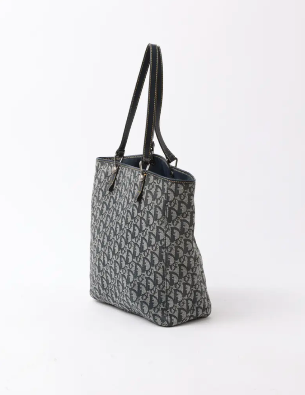 Trotter Canvas Vintage | Dior